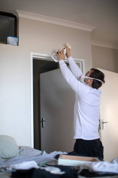 Best Mold Damage Restoration  in Lincoln Heights, OH