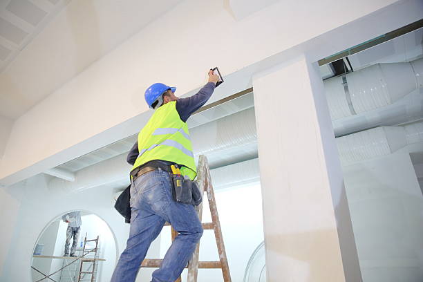 Best Forensic Mold Investigation  in Lincoln Heights, OH